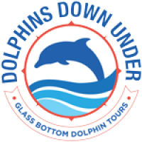 dolphins_down_under
